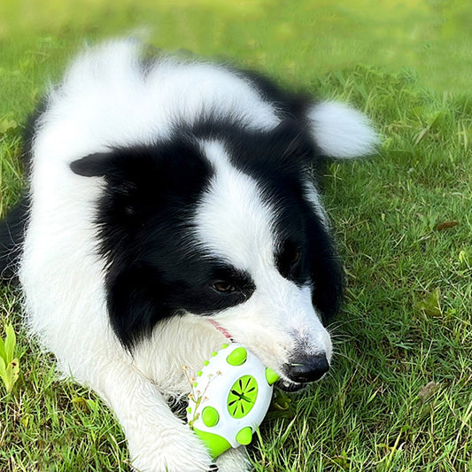 Hedgehog Toy for Dogs – Food Dispenser & Dental Cleaning 🦔🐶✨